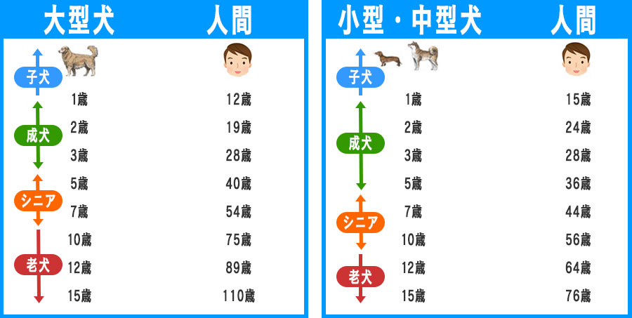 犬と人間の年齢比較表